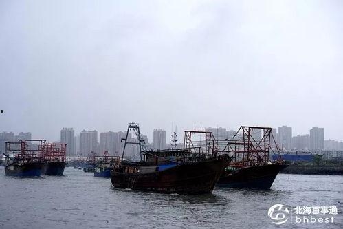 爆料渔船视频大全下载免费,免费下载渔船视频大全,尽享海洋魅力 第1张 爆料渔船视频大全下载免费,免费下载渔船视频大全,尽享海洋魅力 第1张